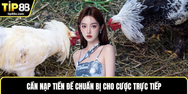 Đá gà TIP88 5 Cần nạp tiền để chuẩn bị cho cược trực tiếp