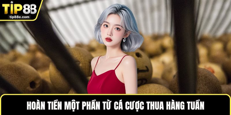 Lô đề TIP88 4 Hoàn tiền một phần từ cá cược thua hàng tuần